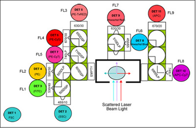 MOFLO Optical Layout