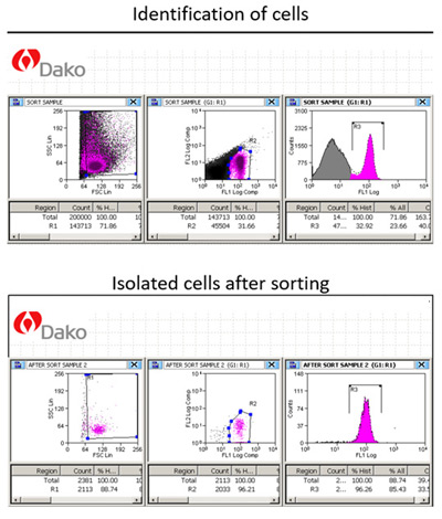 Additional MoFlo Sorter Image