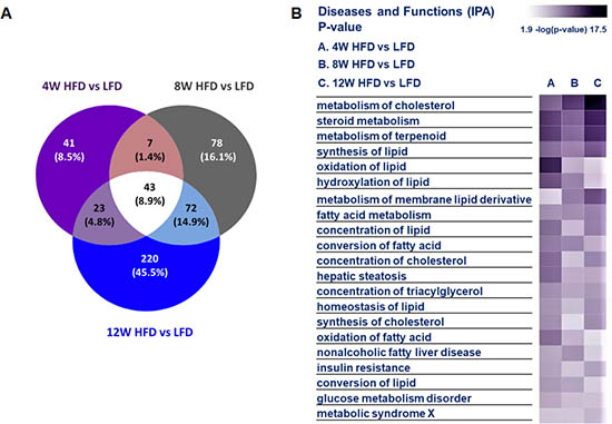 Gene Expression Analysis