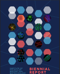 IMBB_Biennial_Report_2019-2020