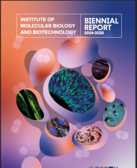 IMBB_Biennial_Report_2024-2025